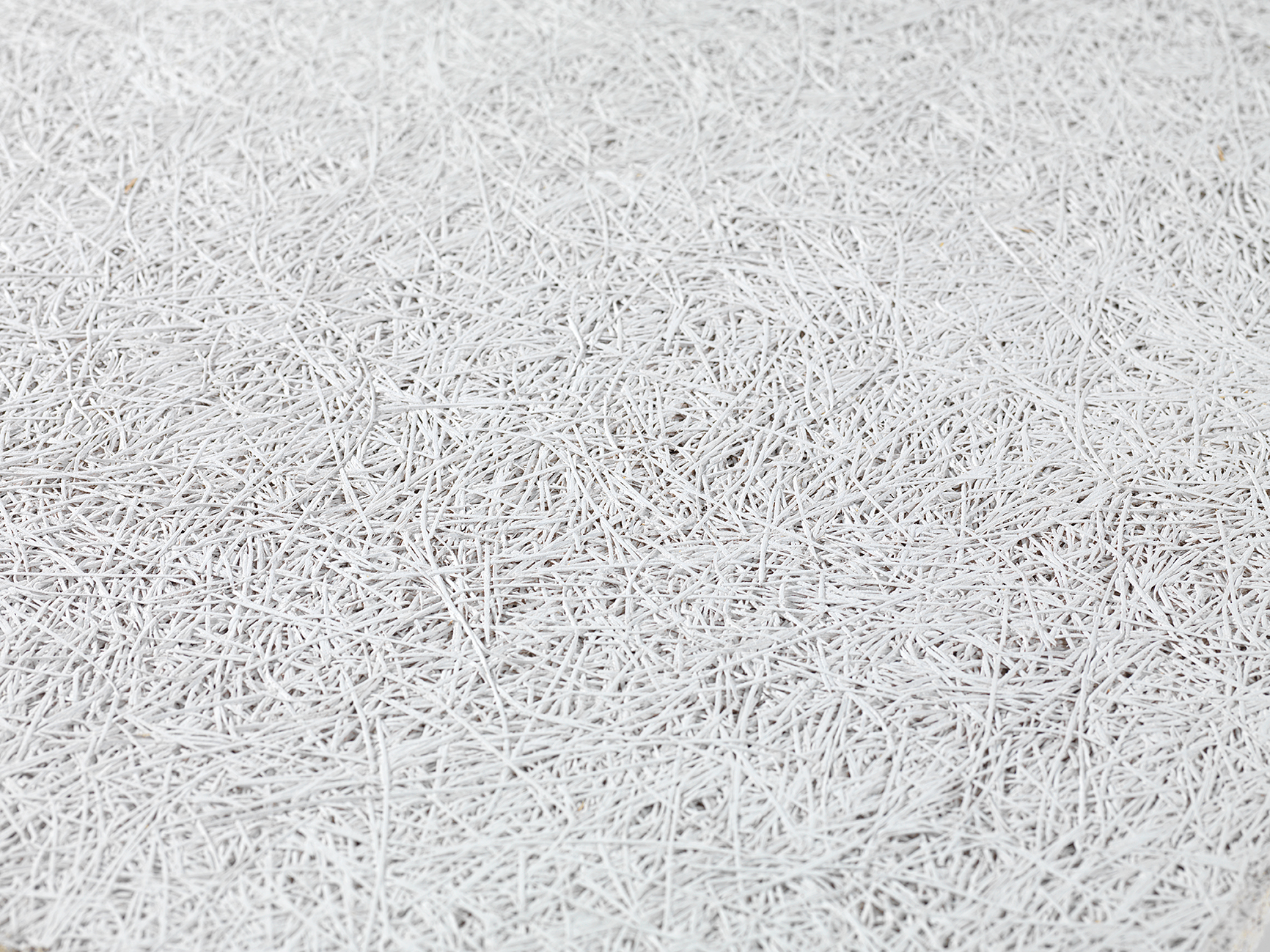 FibroTech-gros plan-3443F31.jpeg